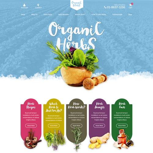 Organic website with the title 'Organic and herbal products company'