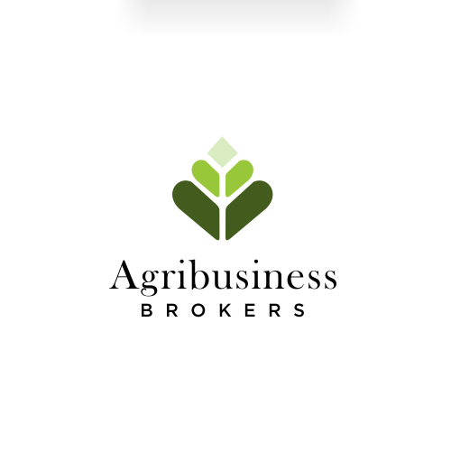 Bank design with the title 'AgriBusiness'