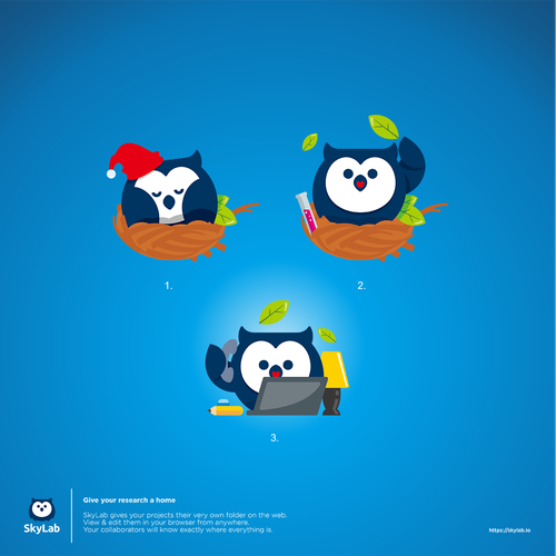 2-dimensional design with the title ' skylab custom icon'