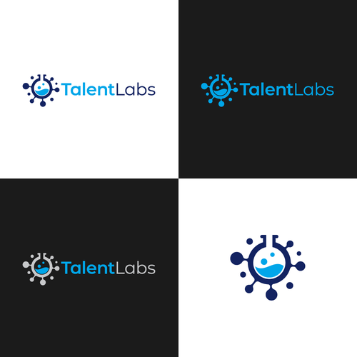 Hub logo with the title 'Hub Labs'