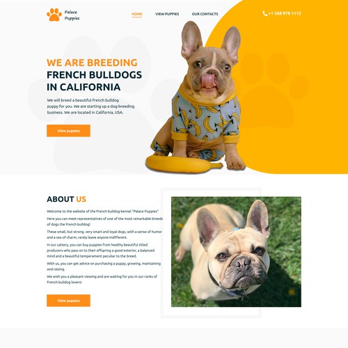 Kennel design with the title 'Design concept for the website of the French bulldog kennel'