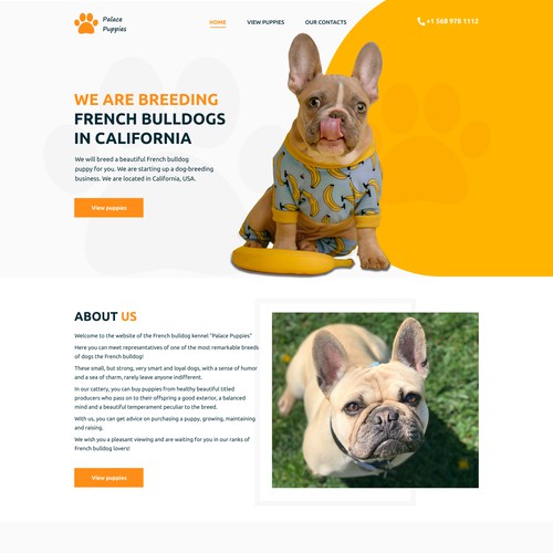 Palace design with the title 'Design concept for the website of the French bulldog kennel'