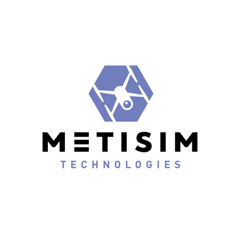 Drone photography logo with the title 'Logo for public security software company'