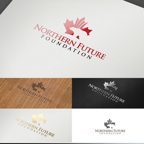 Canadian logo with the title 'Help Northern Future Foundation with a new logo'