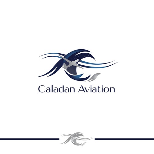 Aviation logo with the title 'Caladan Aviation Logo'