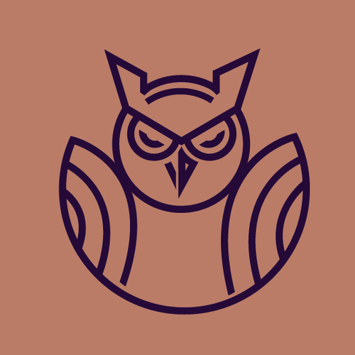 Owl brand with the title 'bold logo'