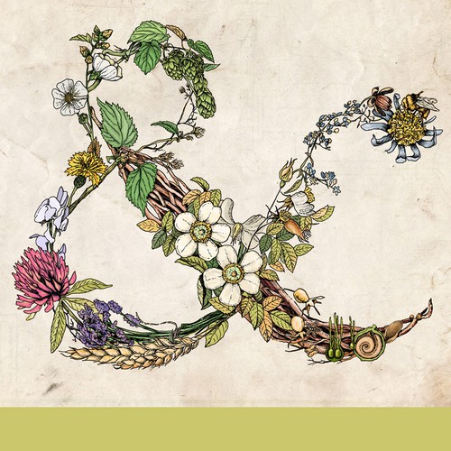 Beer illustration with the title 'Botanical Ampersand'