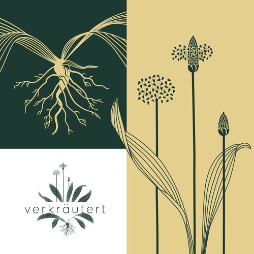Herbal logo with the title 'Verkräutert'