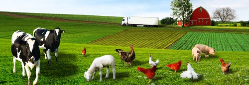 Barn design with the title 'animals on farm for website banner'