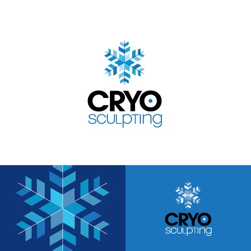 Snowflake logo with the title 'Logo design . CRYO sculpting'