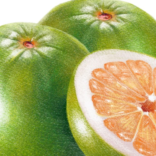 Fruit artwork with the title 'Realistic pomelo illustration'