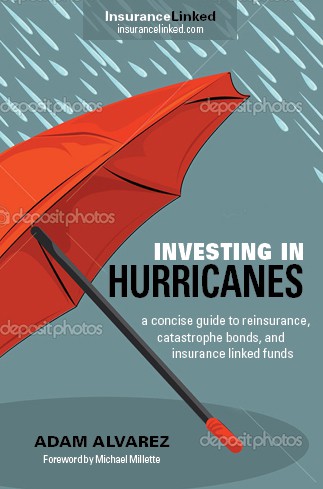 Rain design with the title 'Investing in Hurricanes book cover'