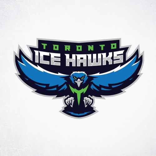 Cool Hockey Hawks Ice Hockey Jersey With A Logo Accept Put Your