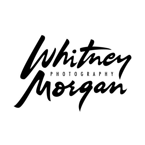 Calligraphy logo with the title 'Logo for a wedding photographer'