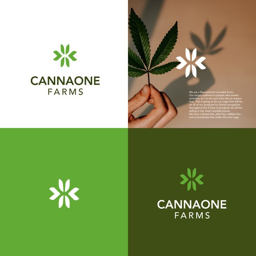 Hemp oil logo with the title 'CannaOne Farms'