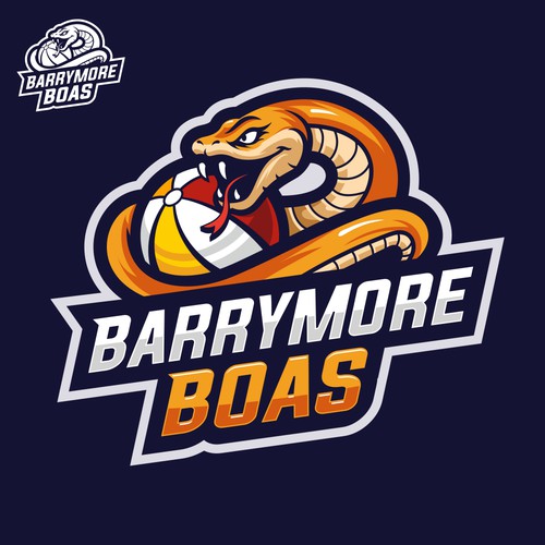 Ball logo with the title 'Boa Sports Logo'