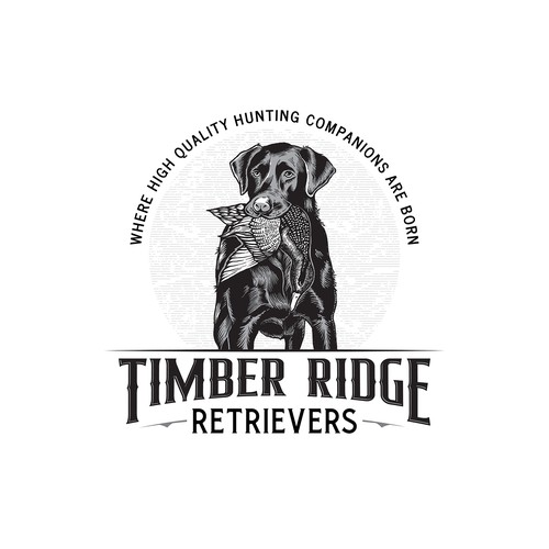 Duck logo with the title 'Timber Ridge Retrievers'