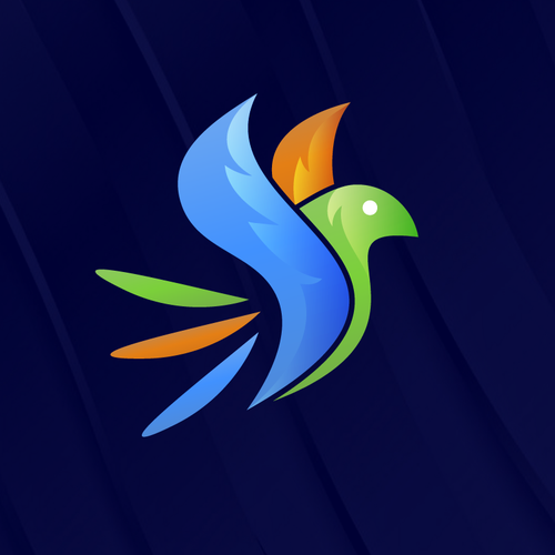 Entertainment brand with the title 'Colorful Bird Concept'