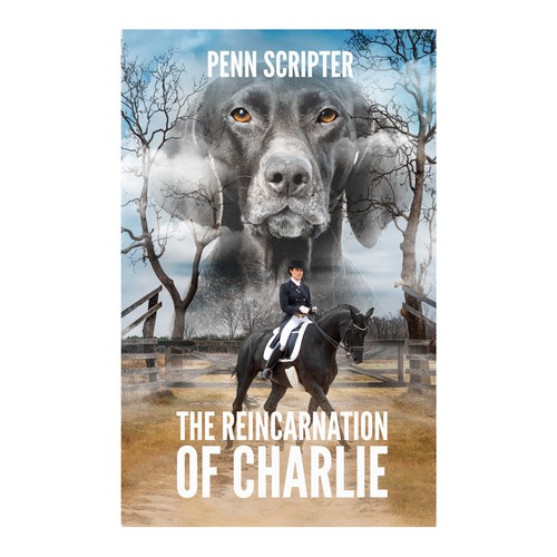 Collage book cover with the title 'urban fantasy eBook cover'