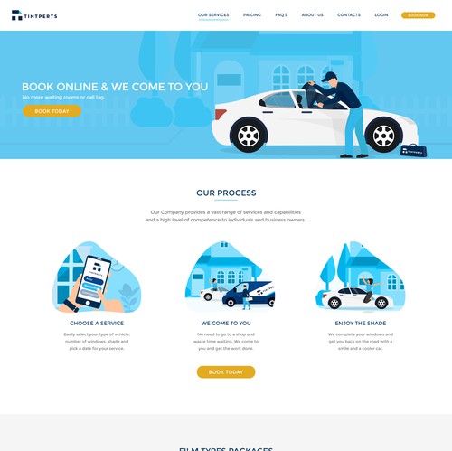 Window design with the title 'Tintperts'