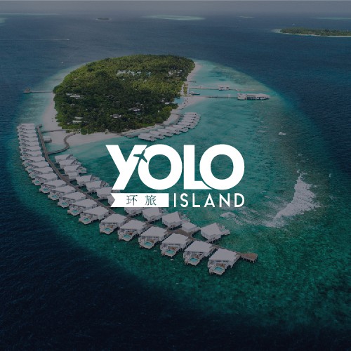 Chinese logo with the title 'YOLO'