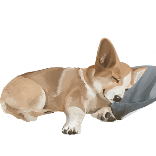 Realistic artwork with the title 'Corgi illustration'