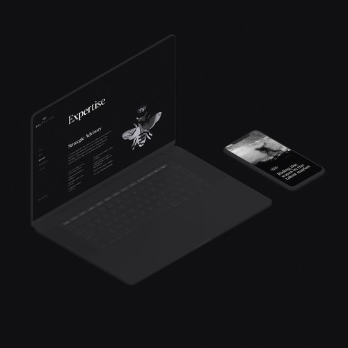 Black website with the title 'Saltwater'