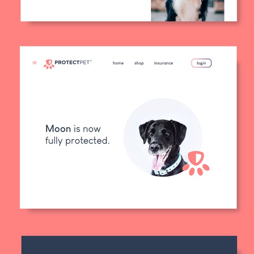 Branding website with the title 'Protectpet'