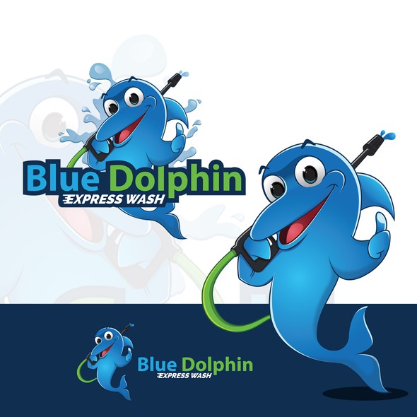 Dolphin design with the title 'Blue Dolphin Express Wash'