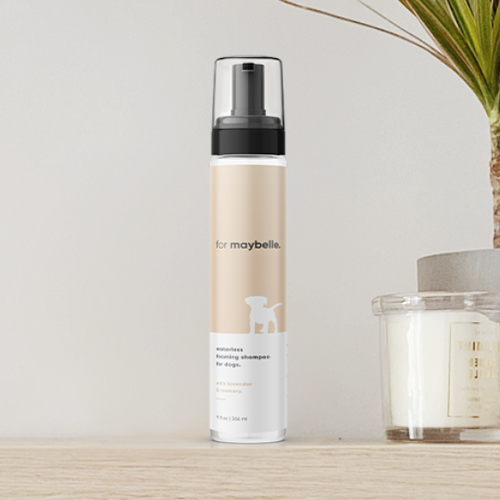 Dog label with the title 'For Maybelle'