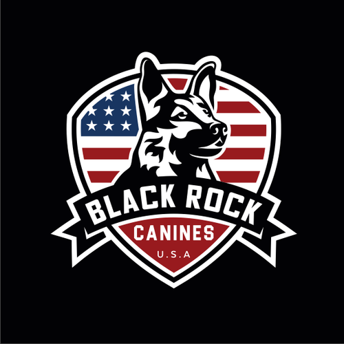 Flag Logos The Best Flag Logo Images 99designs