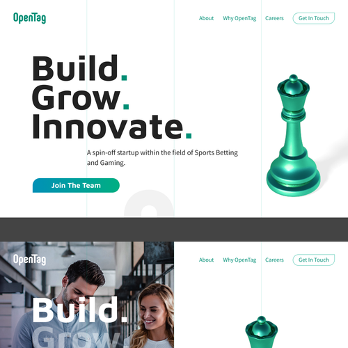 Startup website with the title 'Open Tag'