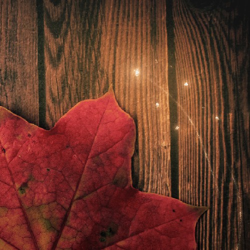 Thank you design with the title 'Magic of Love, Thank You Card'