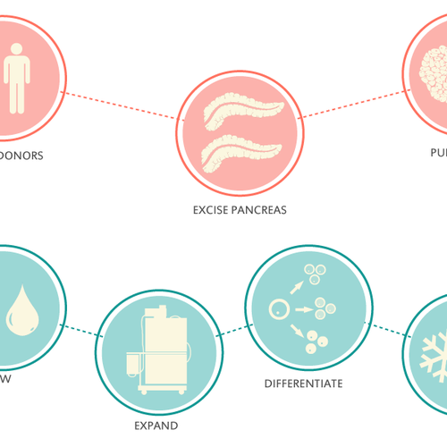 Diagram artwork with the title 'Illustration concept'