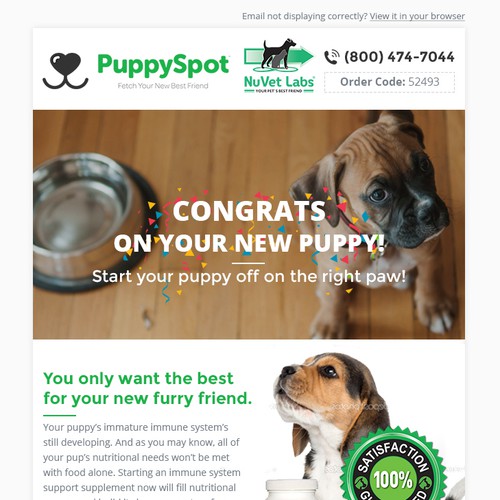 Promotional design with the title 'Puppyspot'