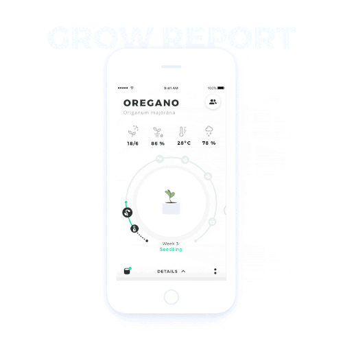 IPhone design with the title 'Design and animation for Smart home grow system'