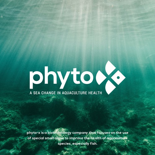 X logo with the title 'Phyto-x Logo Design'