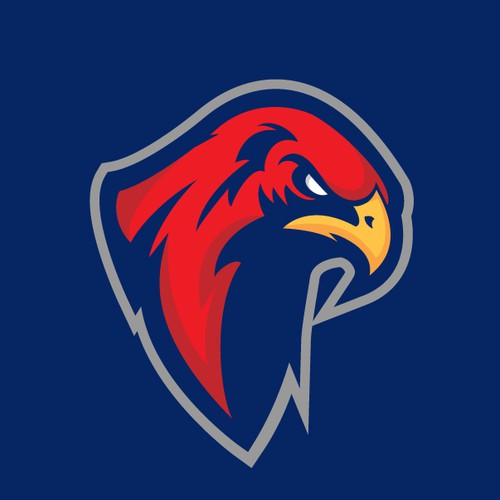 Hawk design with the title 'Hawk sports logo'