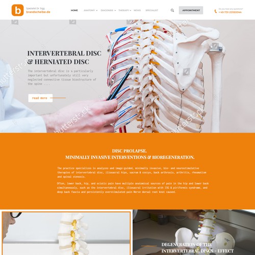 Orthopedic design with the title 'Redesign bandscheibe.de'