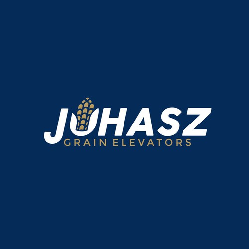 Bright idea logo with the title 'Juhasz'