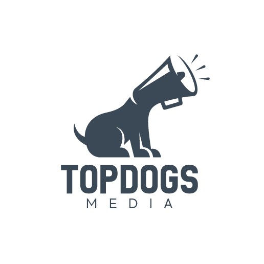 Megaphone logo with the title 'Creative logo design for a video and marketing agency'