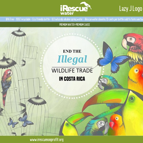 Bird artwork with the title 'Illustrations for Lazy J water bottle'