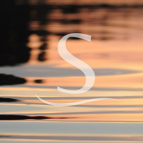 Aesthetic logo with the title 'Logo for spa/aesthetics company'