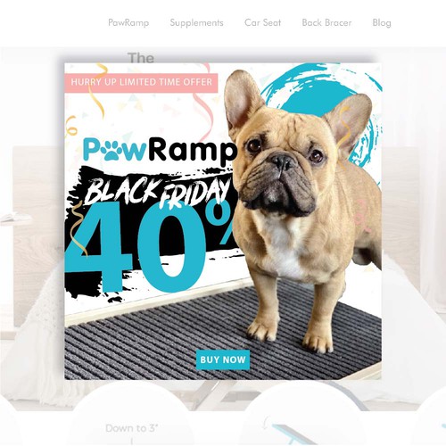 Call to action design with the title 'Paw Ramp '