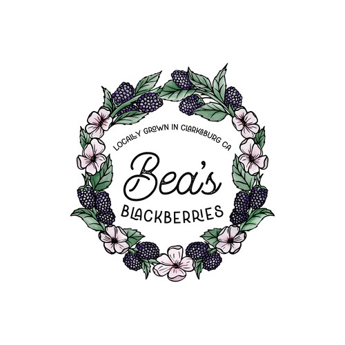 Flower design with the title 'Hand drawn logo for blackbery farm'