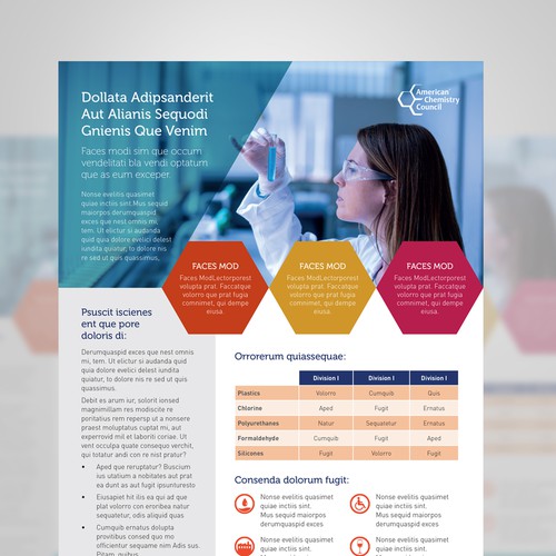 Report design with the title '1 sheet Indesgin Template'