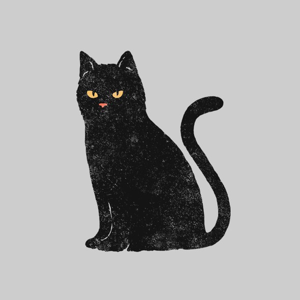 Cat illustration with the title 'The Black Cat'
