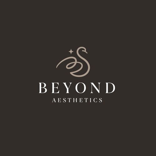 Swan design with the title 'Beyond Aesthetics'