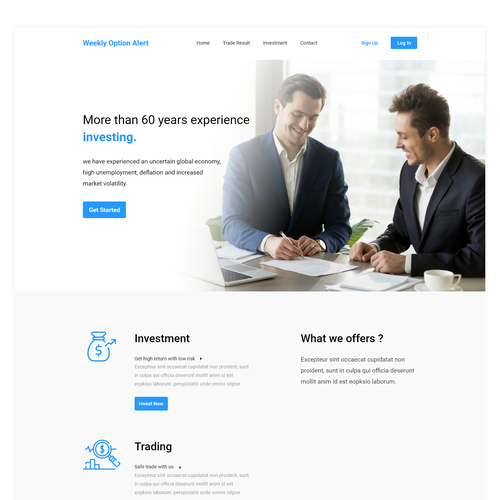 Accounting website with the title 'Weekly option alert webdesign'