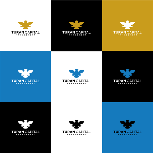 Falcon logo with the title 'Logo Design Concept For Turan Capital Management'